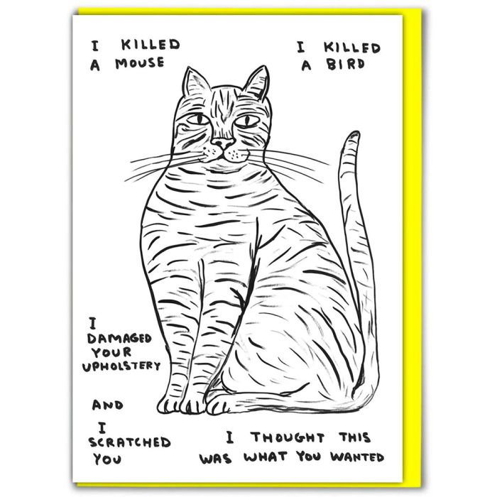 David Shrigley I Killed A Mouse Card