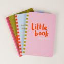 Set of 3 A6 Little Notebooks