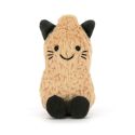 Jellycat Amuseables Peanut Cat Outfit