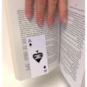 David Shrigley Effing Ace - Magnetic Bookmark