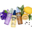 Collins Travel Mood Water - Namhae Yuja