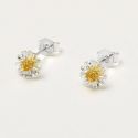 Estella Bartlett Mini Wildflower