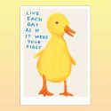 David Shrigley Duckling A5 Postcard Print 