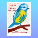 David Shrigley Songbird A5 Postcard Print