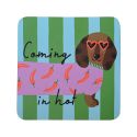 HiJinx Set of 4 Coasters - The Dog Lover