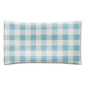 Finders Peepers Blue Gingham Classes Case