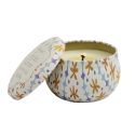 Paddywax Tulip Tin Scented Candle - Garden & Grove