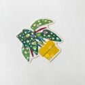 Haco Box of Stickers - Green Market