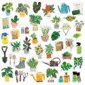 Haco Box of Stickers - Green Market