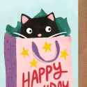Cat Bag Birthday Card