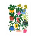 House Plants & Pots Print