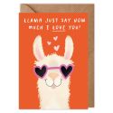 How Much I Love You Llama Valentines Card