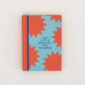 In Real Life Little Book of Tiny Triumphs