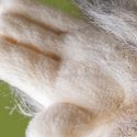 Jellycat Bretti Yeti