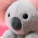 Jellycat Koala with Message