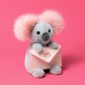 Jellycat Koala with Message