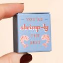 Lisa Angel Tiny Matchbox You're Shrimp-ly The Best