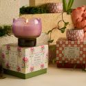 Paddywax Tulip Glass Scented Candle - Bronzed Gardenia