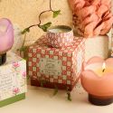 Paddywax Tulip Glass Candle - Cactus Flower