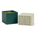 Paddywax Tulip Glass Scented Candle - Verbena & Eucalyptus