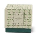 Paddywax Tulip Glass Scented Candle - Verbena & Eucalyptus