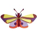 Studio ROOF 3D Purple Eyed Butterfly
