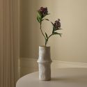 Botane Purple Skimmia Berry Branch