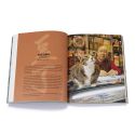 Shop Cats of Hong Kong