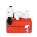 Bon Ton Toys x Peanuts Snoopy Tiny Teddy House Giftbox