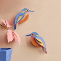 Studio ROOF 3D Kingfishers