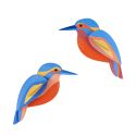 Studio ROOF 3D Kingfishers
