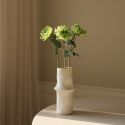 Botane Light Green Semi-Cactus Dahlia Flower