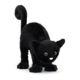 Spookipaws Cat