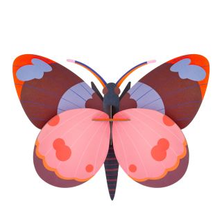 3D Bellissima Butterfly 
