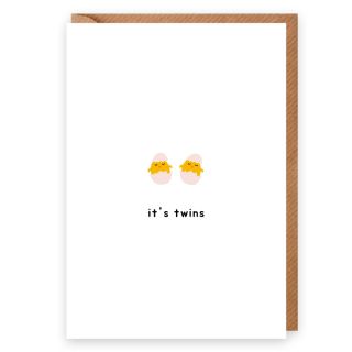 It's Twins Chicks Card