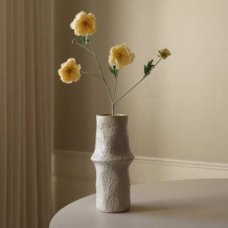 Botane Yellow Four Heads Poppy Flower