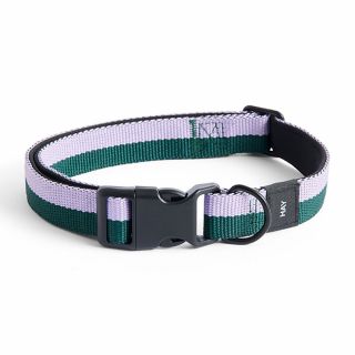 HAY Dog Flat Collar