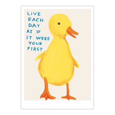 David Shrigley Duckling A5 Postcard Print 