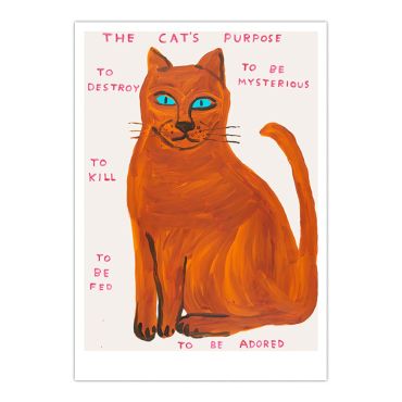 David Shrigley Cat A5 Postcard Print