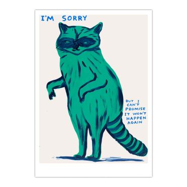 David Shrigley Raccoon A5 Postcard Print