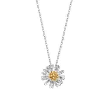 Estella Bartlett  Moon and Star Necklace