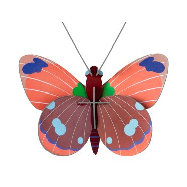 Studio Roof 3D Delias Butterfly