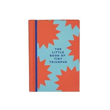 In Real Life Little Book of Tiny Triumphs