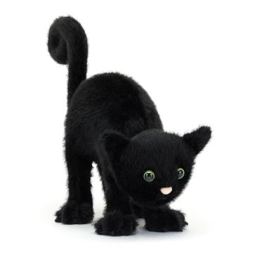 Spookipaws Cat