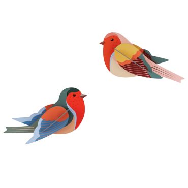 Studio ROOF 3D Robins