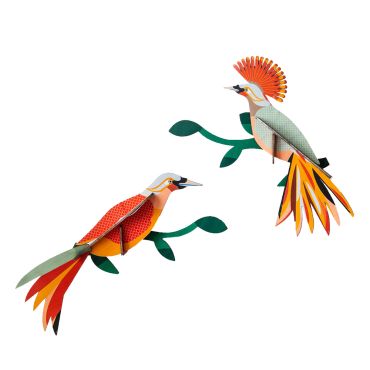3D Paradise Bird, Obi
