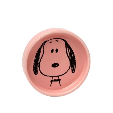 Snoopy Pin Dish Visage