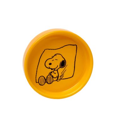 Snoopy Pin Dish Love All