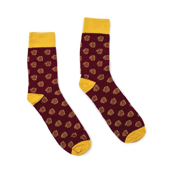 Beer Socks in a Can