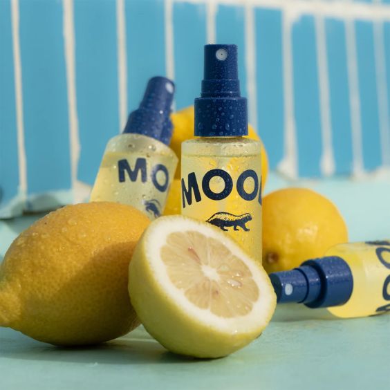 Collins Travel Mood Water - Namhae Yuja